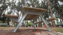 Mesa Picnic 002